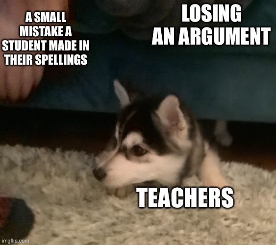 Stuck dog | A SMALL MISTAKE A STUDENT MADE IN THEIR SPELLINGS; LOSING AN ARGUMENT; TEACHERS | image tagged in stuck dog | made w/ Imgflip meme maker