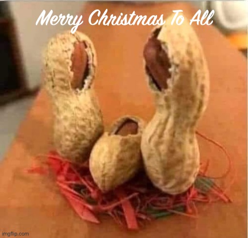 NATIVITY SCENE MADE OF PEANUTS, CHEAPEST NATIVITY SET EVER | Merry Christmas To All | image tagged in nativity scene made of peanuts cheapest nativity set ever | made w/ Imgflip meme maker