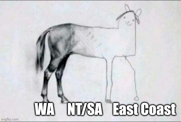 Drawing horse | WA     NT/SA    East Coast | image tagged in drawing horse | made w/ Imgflip meme maker