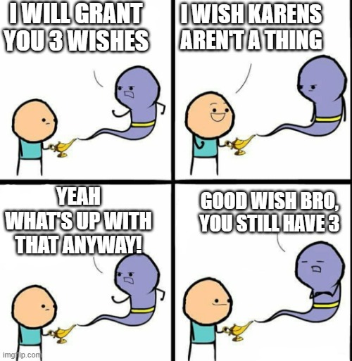 I hate Karens | I WILL GRANT YOU 3 WISHES; I WISH KARENS AREN'T A THING; YEAH WHAT'S UP WITH THAT ANYWAY! GOOD WISH BRO, YOU STILL HAVE 3 | image tagged in genie | made w/ Imgflip meme maker