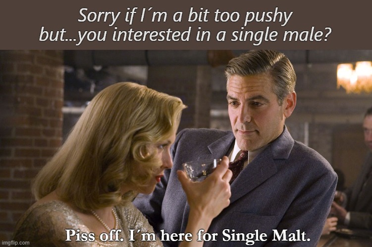 single malt | image tagged in single malt,whiskey,bar,woman,flirting | made w/ Imgflip meme maker