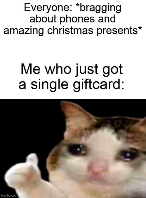 Sad cat thumbs up | Everyone: *bragging about phones and amazing christmas presents*; Me who just got a single giftcard: | image tagged in sad cat thumbs up | made w/ Imgflip meme maker