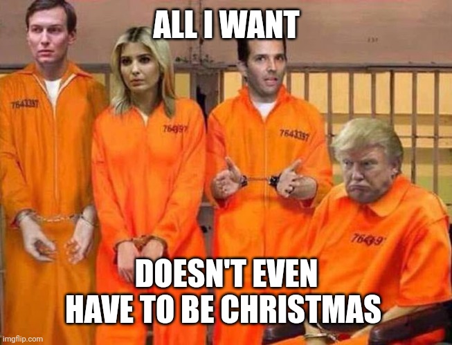 Merry Christmas | ALL I WANT; DOESN'T EVEN HAVE TO BE CHRISTMAS | image tagged in trump family jail | made w/ Imgflip meme maker