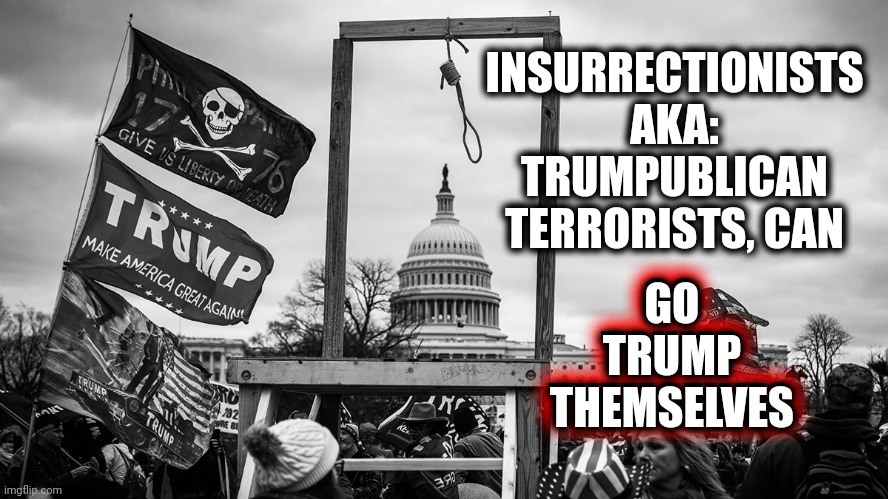 Let's Go Donald | GO TRUMP THEMSELVES; INSURRECTIONISTS AKA: TRUMPUBLICAN TERRORISTS, CAN; GO TRUMP THEMSELVES | image tagged in noose at the capitol,memes,trumpublican terrorists,lock them all up,liars,thieves | made w/ Imgflip meme maker