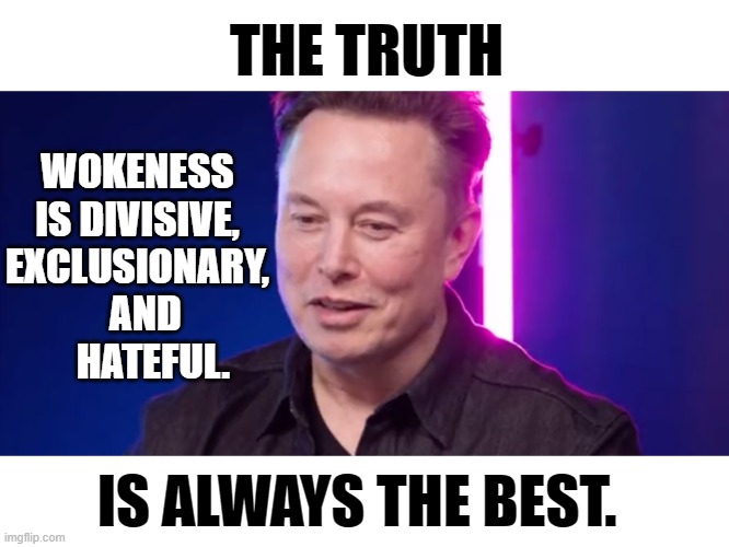 I Do Believe He's Got It. |  THE TRUTH; WOKENESS IS DIVISIVE, EXCLUSIONARY,   AND     HATEFUL. IS ALWAYS THE BEST. | image tagged in memes,politics,elon musk,opinion,woke,truth | made w/ Imgflip meme maker