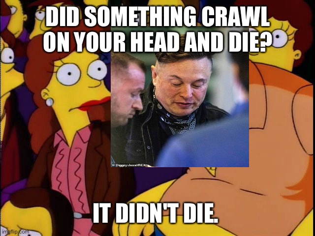 bad haircut | DID SOMETHING CRAWL ON YOUR HEAD AND DIE? IT DIDN'T DIE. | image tagged in hair | made w/ Imgflip meme maker
