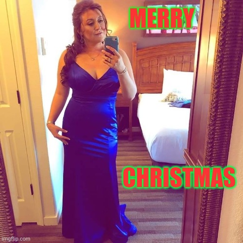 Merry Christmas | MERRY; CHRISTMAS | image tagged in fairy grandmother | made w/ Imgflip meme maker