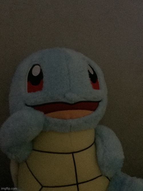 My squirtle plush | made w/ Imgflip meme maker