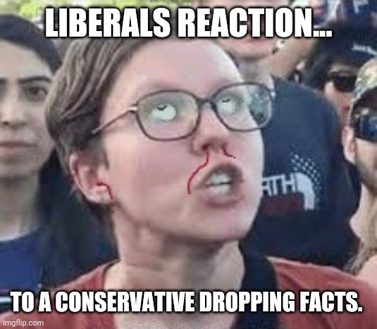 Almost gives them a seizure. | LIBERALS REACTION... TO A CONSERVATIVE DROPPING FACTS. | image tagged in triggering intensifies | made w/ Imgflip meme maker