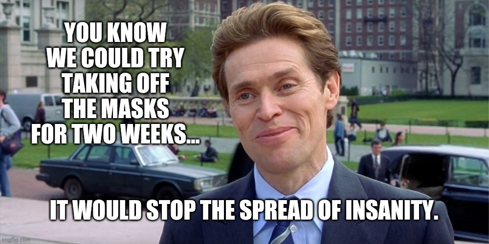 It might work. | YOU KNOW WE COULD TRY TAKING OFF THE MASKS FOR TWO WEEKS... IT WOULD STOP THE SPREAD OF INSANITY. | image tagged in memes | made w/ Imgflip meme maker