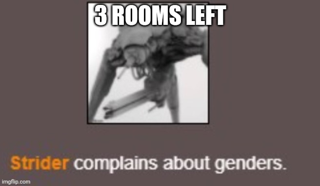 Genders | 3 ROOMS LEFT | image tagged in genders | made w/ Imgflip meme maker