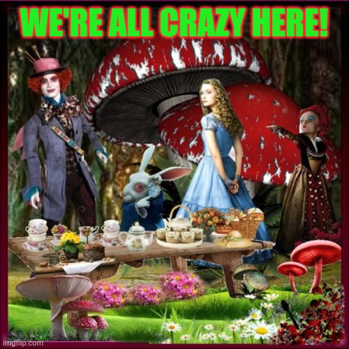 Alice in Wonderland | WE'RE ALL CRAZY HERE! | image tagged in alice in wonderland | made w/ Imgflip meme maker