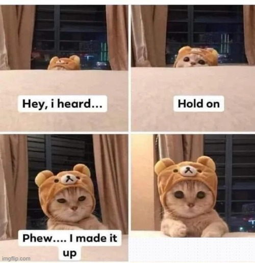 Cute Cat Meme Blank Meme Template