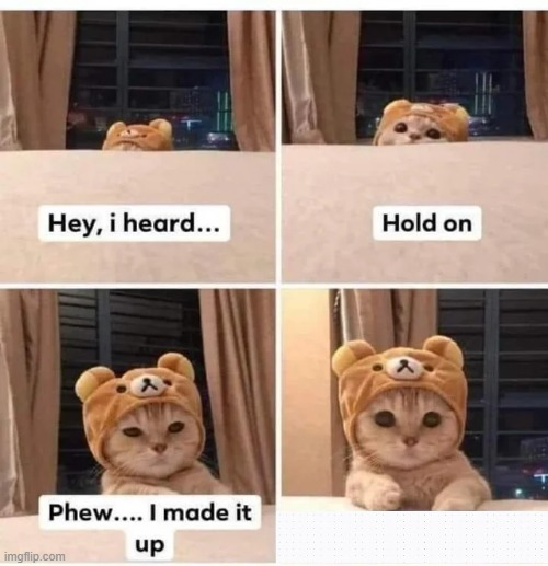 Cute Cat Meme - Imgflip