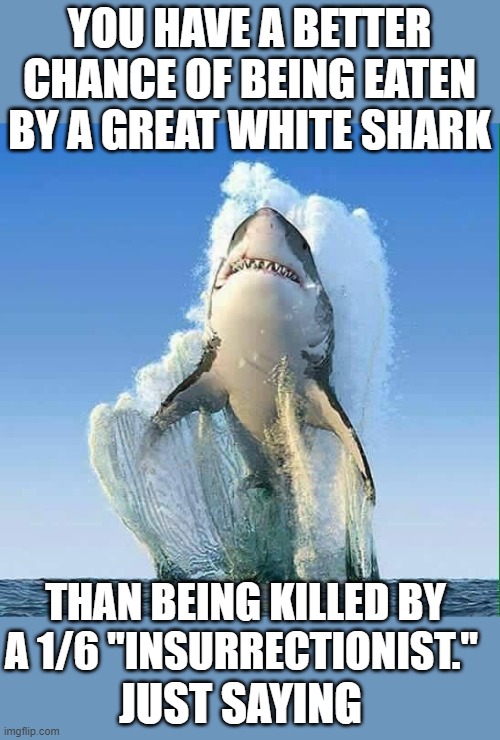 yep | YOU HAVE A BETTER CHANCE OF BEING EATEN BY A GREAT WHITE SHARK; THAN BEING KILLED BY A 1/6 "INSURRECTIONIST."; JUST SAYING | image tagged in democrats | made w/ Imgflip meme maker