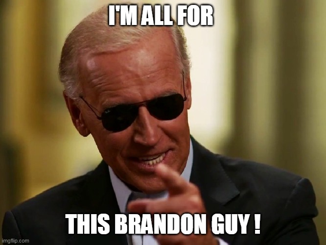 Cool Joe Biden | I'M ALL FOR THIS BRANDON GUY ! | image tagged in cool joe biden | made w/ Imgflip meme maker