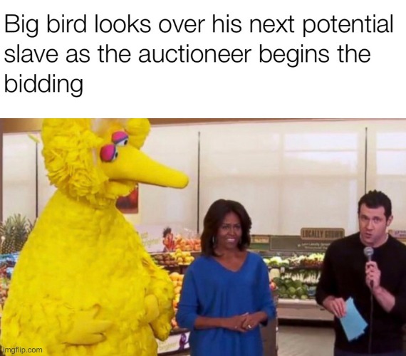 We got a 250! Can we get a 300? | image tagged in memes,lol,funny,slaves,big bird,dark humor | made w/ Imgflip meme maker