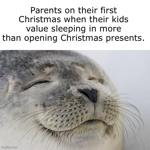 Satisfied Seal Meme | Parents on their first Christmas when their kids value sleeping in more than opening Christmas presents. | image tagged in memes,satisfied seal | made w/ Imgflip meme maker