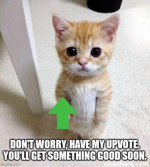 Cute Cat Meme | DON'T WORRY, HAVE MY UPVOTE. YOU'LL GET SOMETHING GOOD SOON. | image tagged in memes,cute cat | made w/ Imgflip meme maker