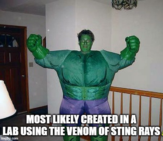 Not Gamma | MOST LIKELY CREATED IN A LAB USING THE VENOM OF STING RAYS | image tagged in hulk | made w/ Imgflip meme maker