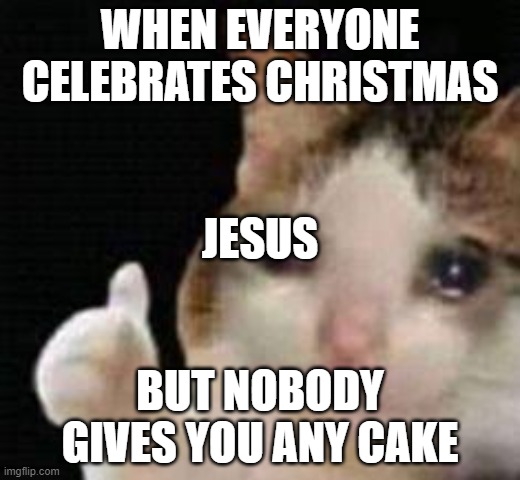 Zad Jesus | WHEN EVERYONE CELEBRATES CHRISTMAS; JESUS; BUT NOBODY GIVES YOU ANY CAKE | image tagged in approved crying cat | made w/ Imgflip meme maker