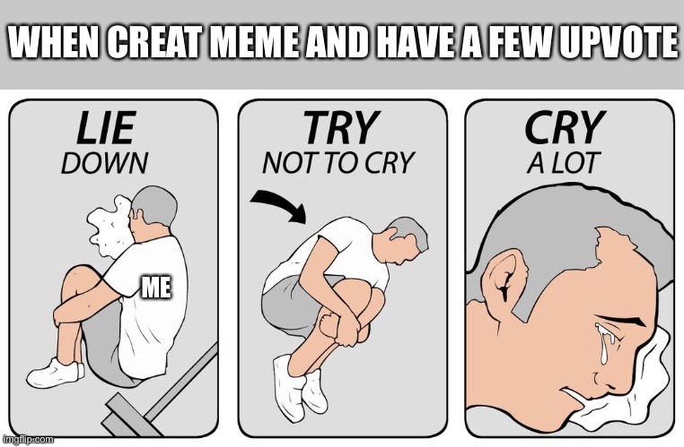 So sad | WHEN CREAT MEME AND HAVE A FEW UPVOTE; ME | image tagged in try not to cry,sad | made w/ Imgflip meme maker