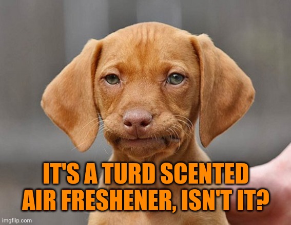 Disappointed Puppy | IT'S A TURD SCENTED AIR FRESHENER, ISN'T IT? | image tagged in disappointed puppy | made w/ Imgflip meme maker