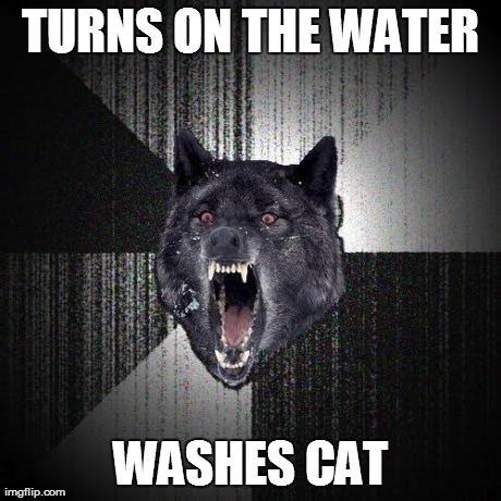 TURNS ON THE WATER WASHES CAT | made w/ Imgflip meme maker