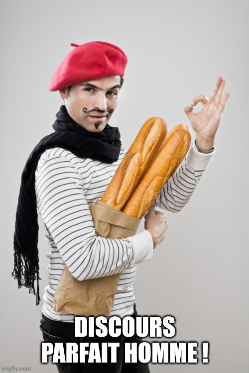 French Artist Stereotype | DISCOURS PARFAIT HOMME ! | image tagged in french artist stereotype | made w/ Imgflip meme maker