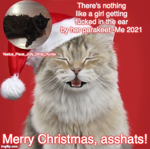 Christmas Template | Merry Christmas, asshats! | image tagged in christmas template | made w/ Imgflip meme maker