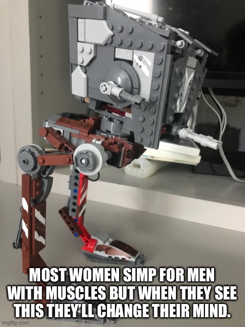 You cannot resist Lego Star Wars | MOST WOMEN SIMP FOR MEN WITH MUSCLES BUT WHEN THEY SEE THIS THEY’LL CHANGE THEIR MIND. | made w/ Imgflip meme maker