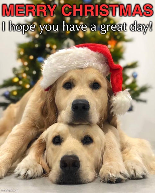 MERRY CHRISTMAS I hope you have a great day! | made w/ Imgflip meme maker