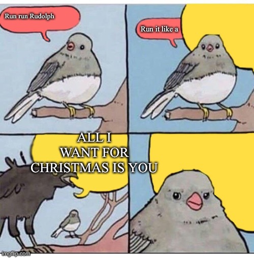 I liked that song |  Run run Rudolph; Run it like a; ALL I WANT FOR CHRISTMAS IS YOU | image tagged in annoyed bird | made w/ Imgflip meme maker