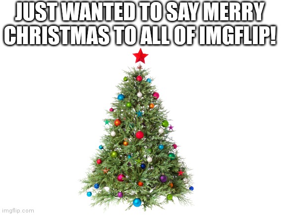 Blank White Template | JUST WANTED TO SAY MERRY CHRISTMAS TO ALL OF IMGFLIP! | image tagged in blank white template | made w/ Imgflip meme maker