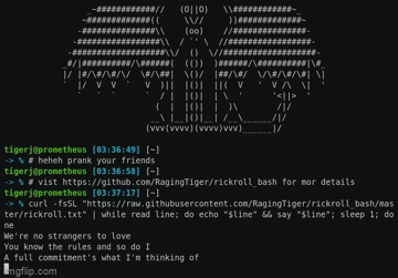 Rickroll the Terminal with curl