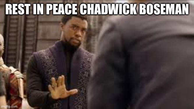 Black Panther Chadwick Boseman Rest In Heaven King | REST IN PEACE CHADWICK BOSEMAN | image tagged in black panther chadwick boseman rest in heaven king | made w/ Imgflip meme maker