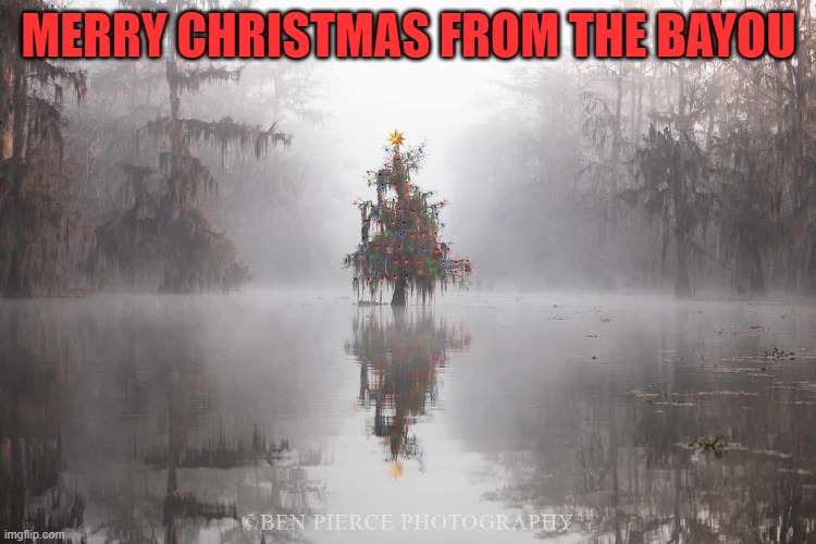 MERRY CHRISTMAS FROM THE BAYOU | image tagged in merry christmas | made w/ Imgflip meme maker