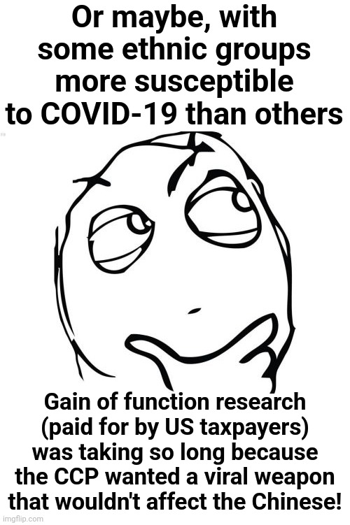 Question Rage Face Meme | Or maybe, with some ethnic groups more susceptible to COVID-19 than others Gain of function research (paid for by US taxpayers) was taking s | image tagged in memes,question rage face | made w/ Imgflip meme maker