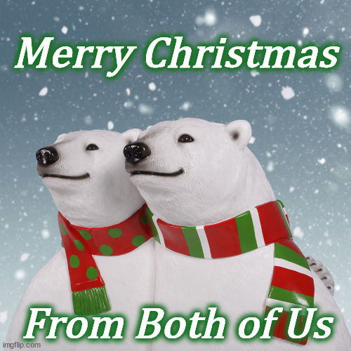 bears | Merry Christmas; From Both of Us | image tagged in bears | made w/ Imgflip meme maker