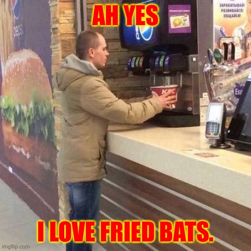 Man With Bucket | AH YES I LOVE FRIED BATS. | image tagged in man with bucket | made w/ Imgflip meme maker