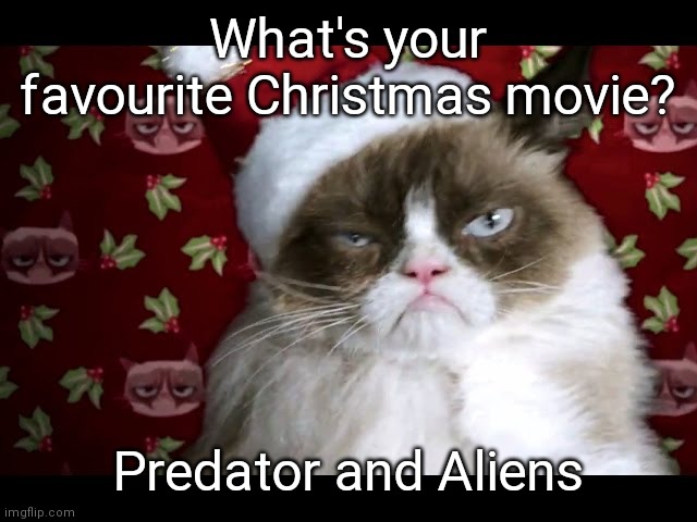 Grumpy cat meme | What's your favourite Christmas movie? Predator and Aliens | image tagged in predator,aliens | made w/ Imgflip meme maker