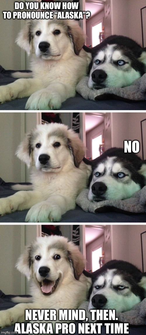 Bad pun dogs | DO YOU KNOW HOW TO PRONOUNCE “ALASKA”? NO; NEVER MIND, THEN. ALASKA PRO NEXT TIME | image tagged in bad pun dogs | made w/ Imgflip meme maker