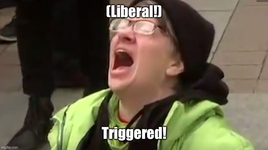 Screaming Liberal  | (Liberal!) Triggered! | image tagged in screaming liberal | made w/ Imgflip meme maker