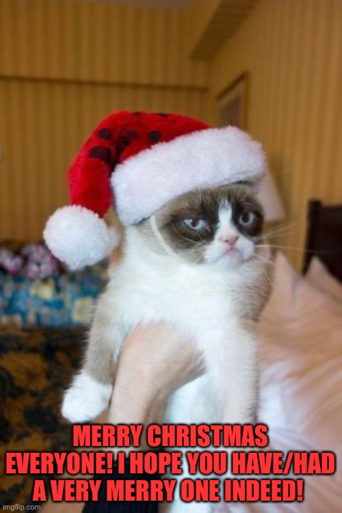 Merry Christmas my fellow Imgflippers!!! |  MERRY CHRISTMAS EVERYONE! I HOPE YOU HAVE/HAD A VERY MERRY ONE INDEED! | image tagged in memes,grumpy cat christmas,grumpy cat,merry christmas,christmas,happy | made w/ Imgflip meme maker