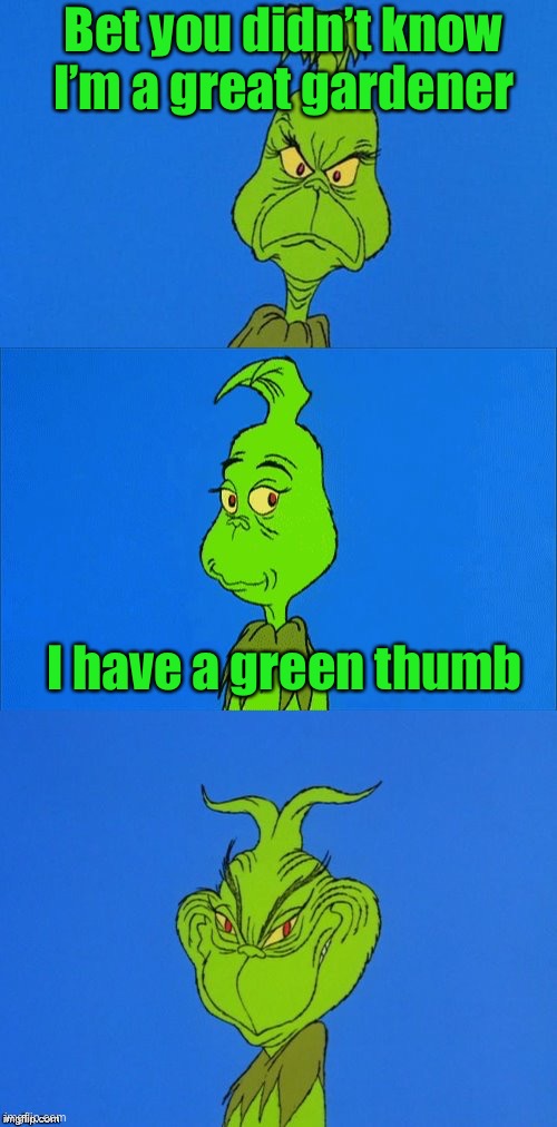 The grinch | Bet you didn’t know I’m a great gardener; I have a green thumb | image tagged in the grinch christmas | made w/ Imgflip meme maker