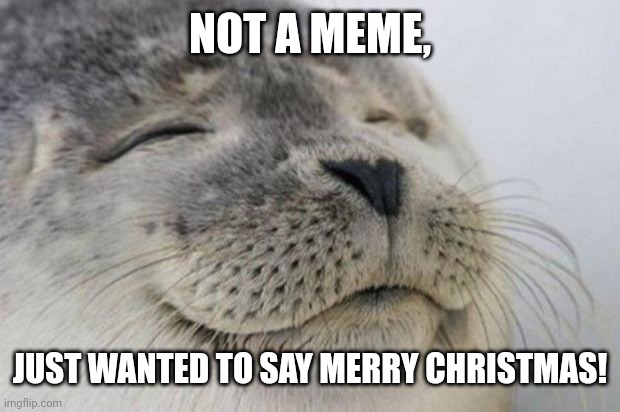 Hope yall have a great day, and happy holidays to those who don't celebrate Christmas :) | NOT A MEME, JUST WANTED TO SAY MERRY CHRISTMAS! | image tagged in happy seal | made w/ Imgflip meme maker
