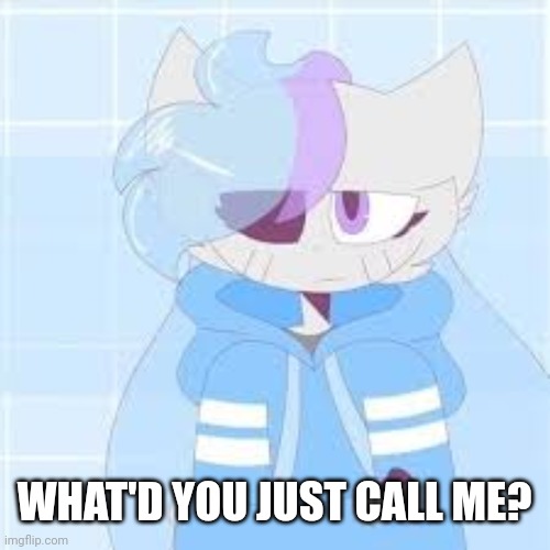 really nibba sashley | WHAT'D YOU JUST CALL ME? | image tagged in really nibba sashley | made w/ Imgflip meme maker