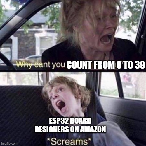 Why Can't You Just Be Normal | COUNT FROM 0 TO 39; ESP32 BOARD DESIGNERS ON AMAZON | image tagged in why can't you just be normal | made w/ Imgflip meme maker