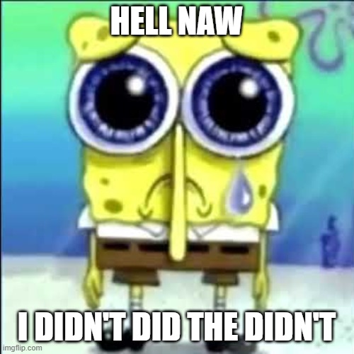 Sad Spongebob | HELL NAW I DIDN'T DID THE DIDN'T | image tagged in sad spongebob | made w/ Imgflip meme maker