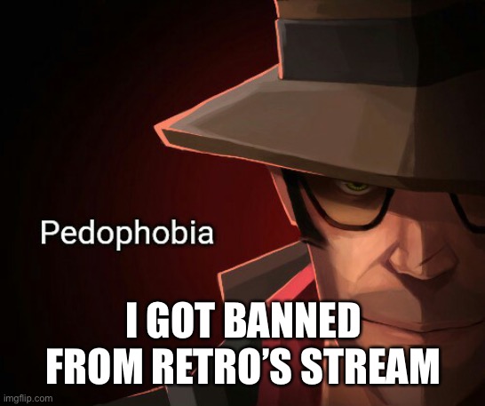 Pedophobia | I GOT BANNED FROM RETRO’S STREAM | image tagged in pedophobia | made w/ Imgflip meme maker